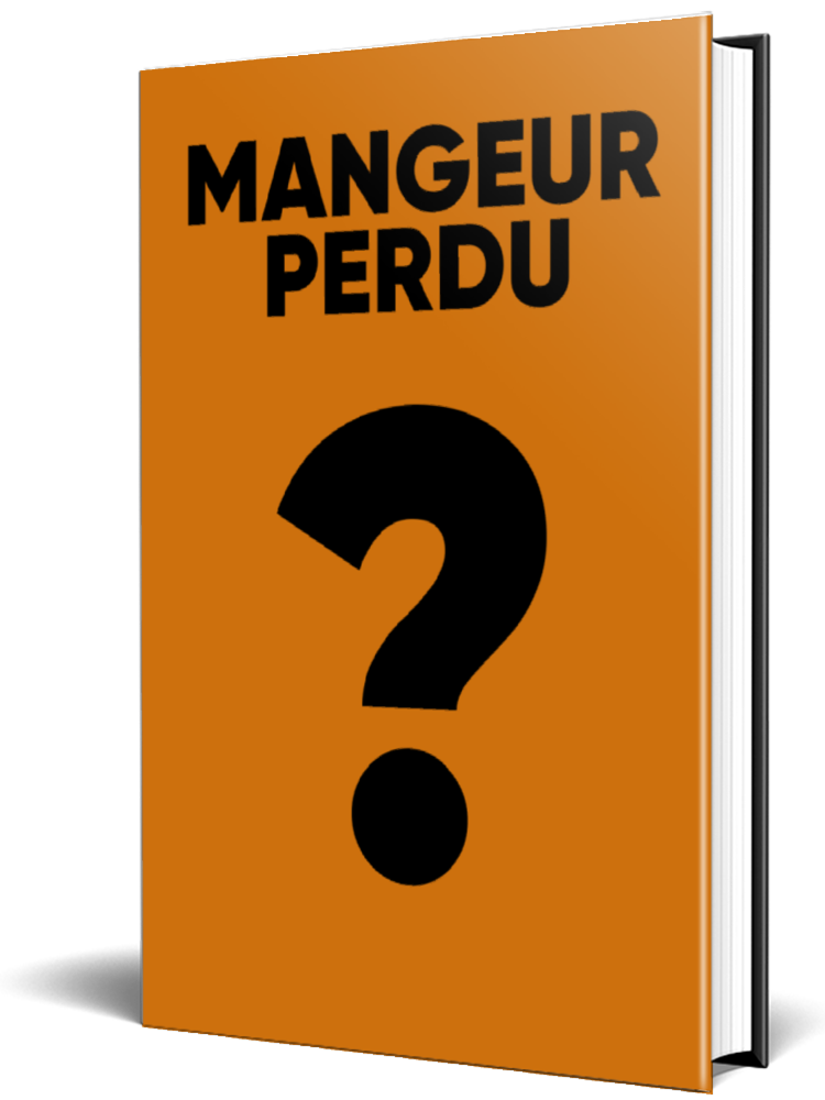 Représentation 3D de la couverture du livre Mangeur Perdu